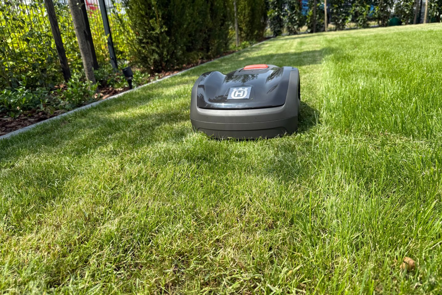 Robot koszący do małych trawników